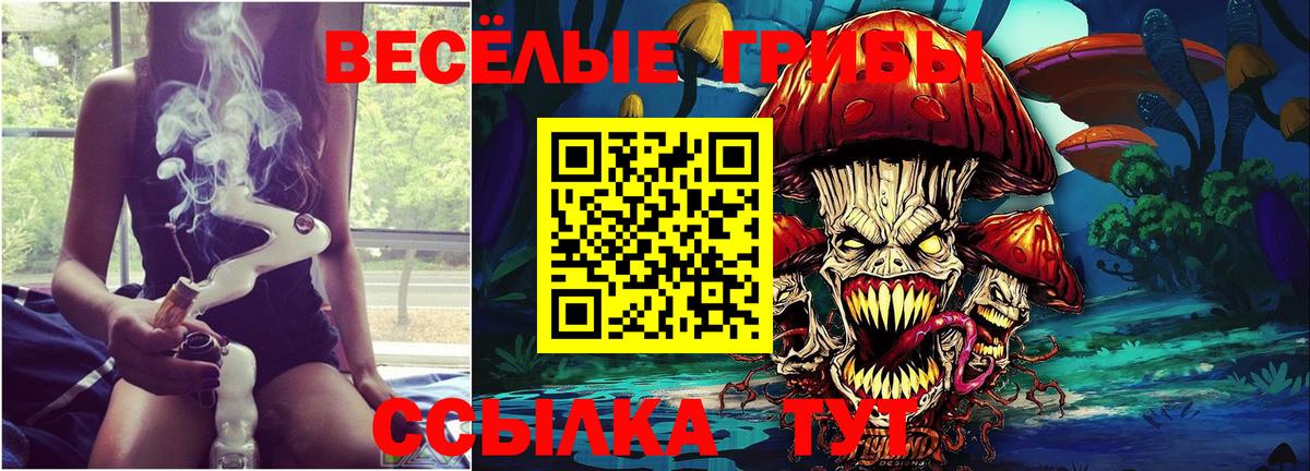 Галлюциногенные грибы Psilocybe  Вход с VPN  Ачхой-Мартан 
