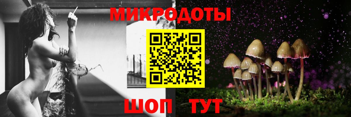 Галлюциногенные грибы мицелий Ачхой-Мартан