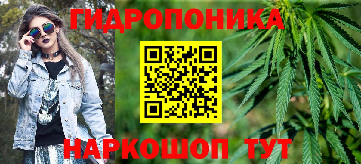 Шишки марихуана конопля  Конопля LSD WEED  Ачхой-Мартан  Канабис планчик  Вход с VPN 